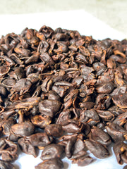 Trà Cascara túi lọc (trà túi nhúng) - Trà làm từ vỏ trái cà phê arabica 100% (Hộp 10 gói)