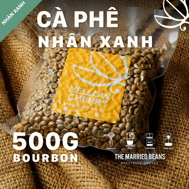 Nhân xanh Arabica - YELLOW CHERRY Lâm Đồng - (Gói 500G)